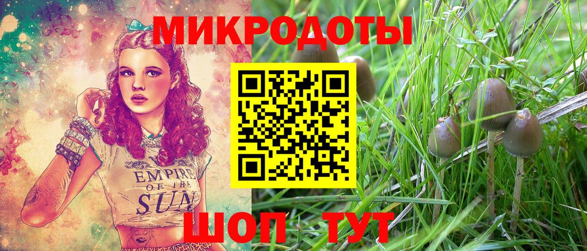 Галлюциногенные грибы Psilocybe  Вход с VPN  Псилоцибиновые грибы мухоморы  Омск 